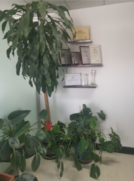 品牌授權證書展示區(qū)